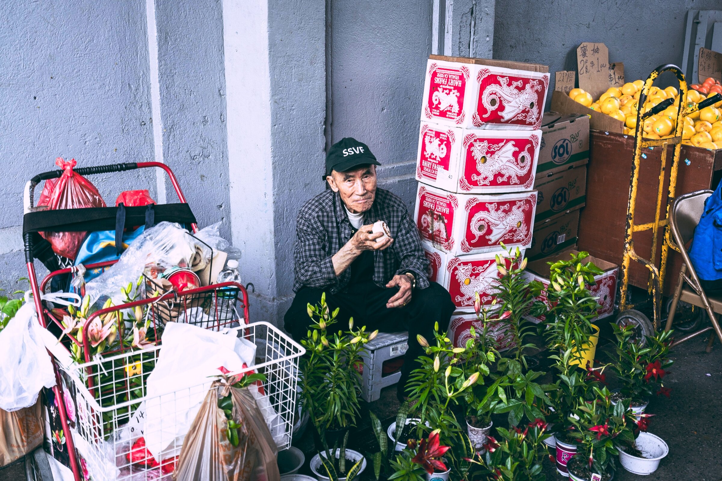 Plant seller